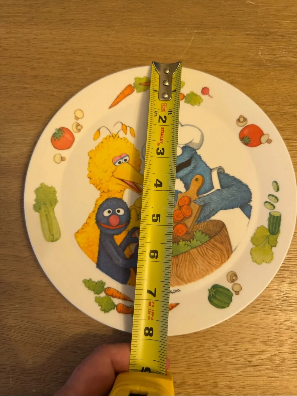 Vintage Sesame Street Muppets Plastic Dinner Plate Big Bird Grover CookieMonster